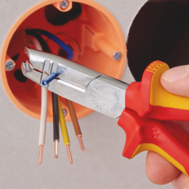 Cleste dezizolat doza 165 mm