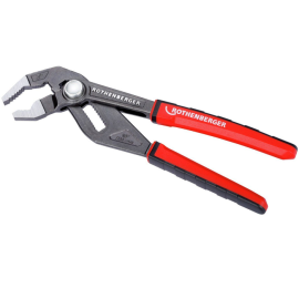 Cleste Rothenberger 1000002705